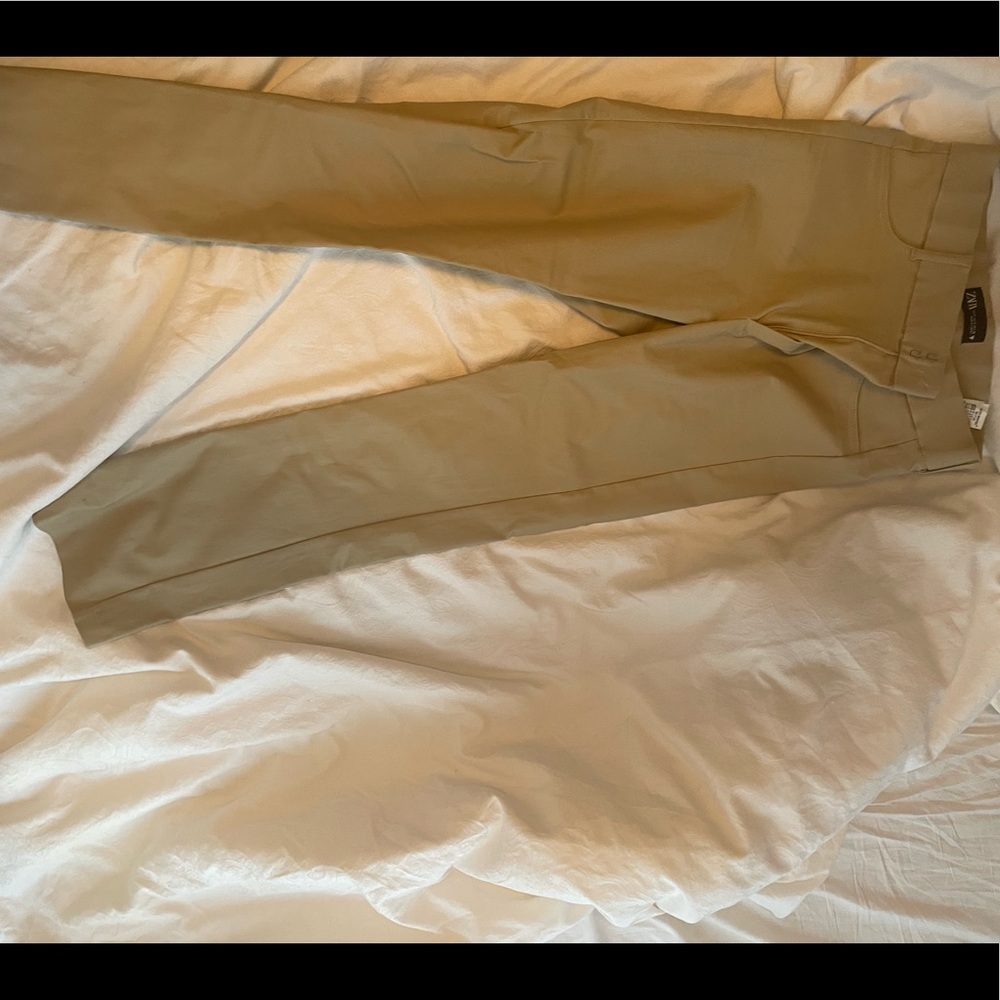 Zara fit and flare pants